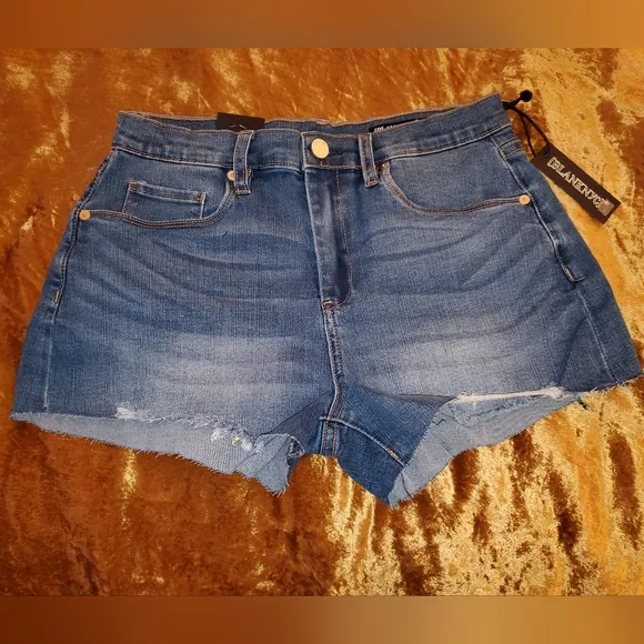 Blank NYC The Barrow Jean Shorts