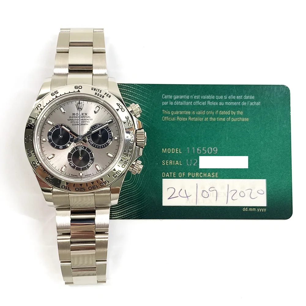 Rolex Oyster Perpetual 116509 Steel Dial Sep 2020